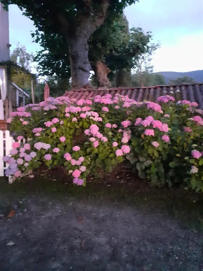 Gîte Le Marronnier Ganac Hébergement de vacances